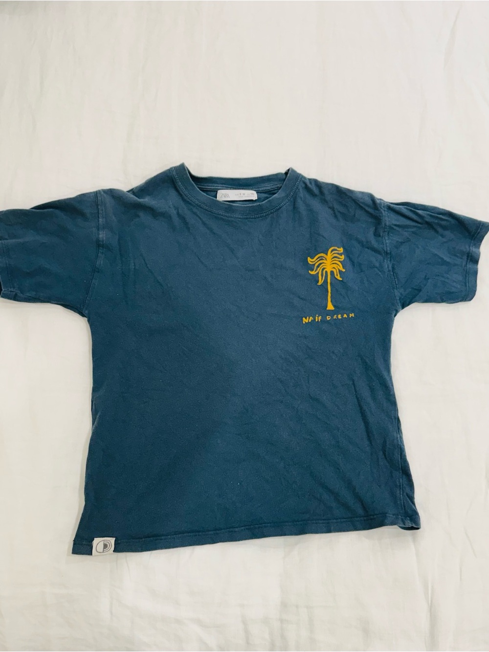 Zara Boy’s Kids Graphic Tee, teal blue